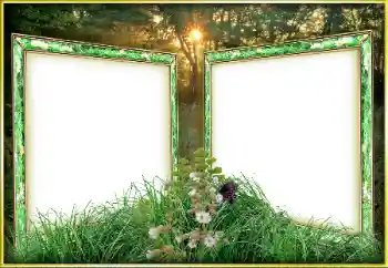 Efekt zdjęciowy z kategorii Różne № 163263 Efekt zdjęciowy z kategorii Różne № 163263