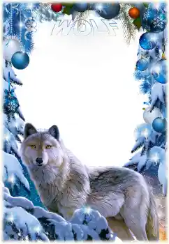 Napis na ramce: Wolf Napis na ramce: Wolf