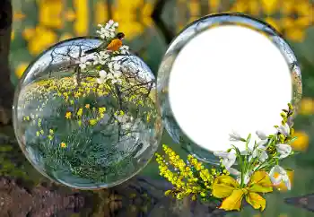 Efekt zdjęciowy z kategorii Różne № 163601