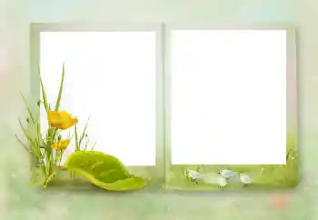 Efekt zdjęciowy z kategorii Różne № 164751