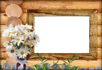 Efekt zdjęciowy z kategorii Różne № 164792