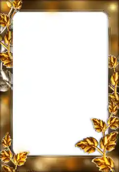 Efekt zdjęciowy z kategorii Różne № 166029