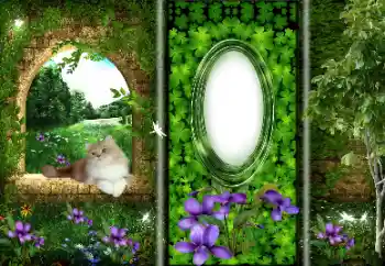 Efekt zdjęciowy z kategorii Różne № 166033