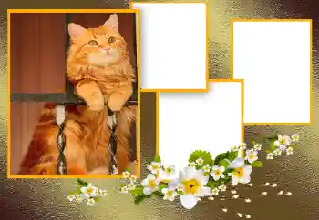 Efekt zdjęciowy z kategorii Różne № 166093