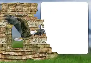 Efekt zdjęciowy z kategorii Różne № 166357