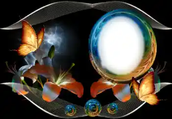 Efekt zdjęciowy z kategorii Różne № 166380