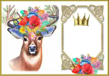 Efekt zdjęciowy z kategorii Różne № 166459