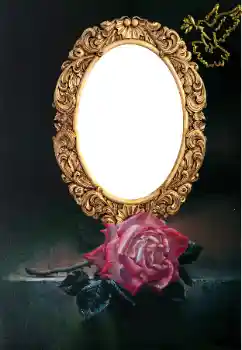 Efekt zdjęciowy z kategorii Różne № 166636