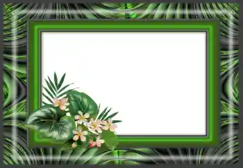 Efekt zdjęciowy z kategorii Różne № 166640