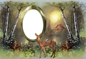 Efekt zdjęciowy z kategorii Różne № 167794