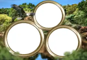 Efekt zdjęciowy z kategorii Różne № 167860