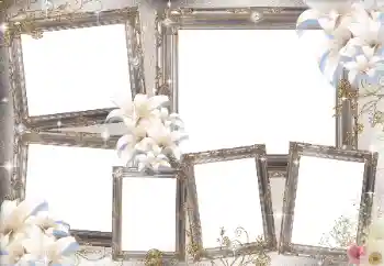 Efekt zdjęciowy z kategorii Różne № 169031 Efekt zdjęciowy z kategorii Różne № 169031