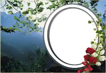 Efekt zdjęciowy z kategorii Różne № 16920