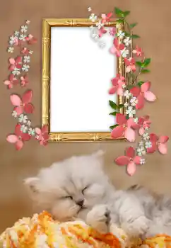 Efekt zdjęciowy z kategorii Różne № 169232 Efekt zdjęciowy z kategorii Różne № 169232