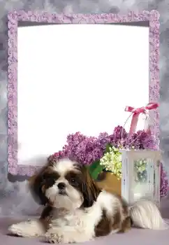 Efekt zdjęciowy z kategorii Różne № 169260 Efekt zdjęciowy z kategorii Różne № 169260