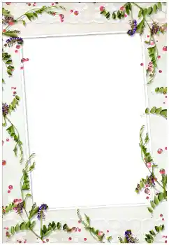 Efekt zdjęciowy z kategorii Różne № 17020