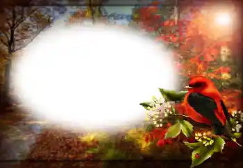 Efekt zdjęciowy z kategorii Różne № 170400 Efekt zdjęciowy z kategorii Różne № 170400