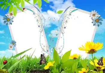 Efekt zdjęciowy z kategorii Różne № 17121