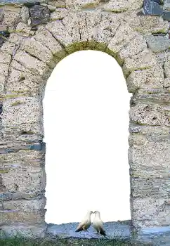 Efekt zdjęciowy z kategorii Różne № 171681