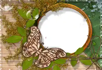 Efekt zdjęciowy z kategorii Różne № 17189