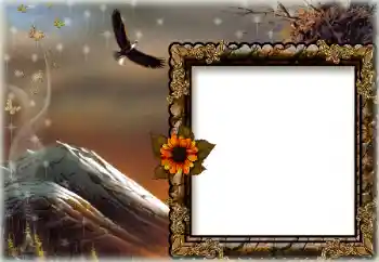 Efekt zdjęciowy z kategorii Różne № 172844