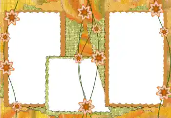 Efekt zdjęciowy z kategorii Różne № 172922