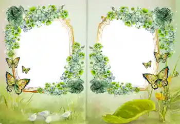 Efekt zdjęciowy z kategorii Różne № 172968 Efekt zdjęciowy z kategorii Różne № 172968