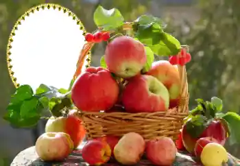 Efekt zdjęciowy z kategorii Różne № 173030