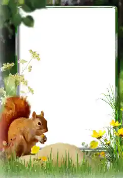 Efekt zdjęciowy z kategorii Różne № 174270