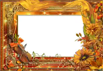 Efekt zdjęciowy z kategorii Różne № 175489