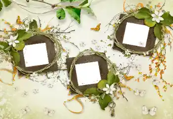 Efekt zdjęciowy z kategorii Różne № 175577 Efekt zdjęciowy z kategorii Różne № 175577