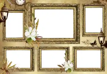 Efekt zdjęciowy z kategorii Różne № 176631 Efekt zdjęciowy z kategorii Różne № 176631