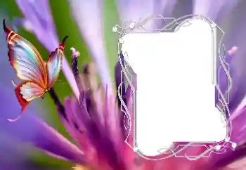 Efekt zdjęciowy z kategorii Różne № 176776 Efekt zdjęciowy z kategorii Różne № 176776