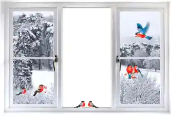 Efekt zdjęciowy z kategorii Różne № 177876 Efekt zdjęciowy z kategorii Różne № 177876