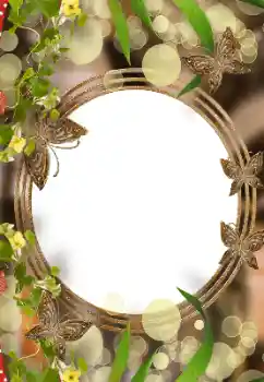 Efekt zdjęciowy z kategorii Różne № 177970 Efekt zdjęciowy z kategorii Różne № 177970