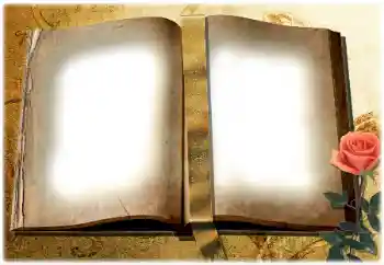 Efekt zdjęciowy z kategorii Różne № 180729 Efekt zdjęciowy z kategorii Różne № 180729