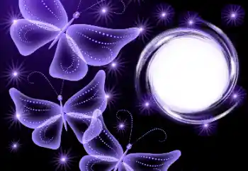 Efekt zdjęciowy z kategorii Różne № 180771