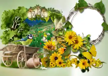 Efekt zdjęciowy z kategorii Różne № 180773