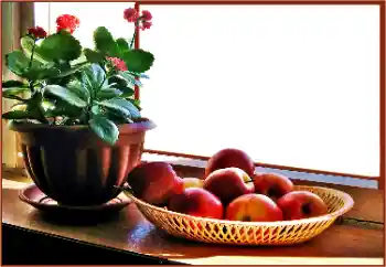 Efekt zdjęciowy z kategorii Różne № 180838