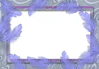 Efekt zdjęciowy z kategorii Różne № 1809