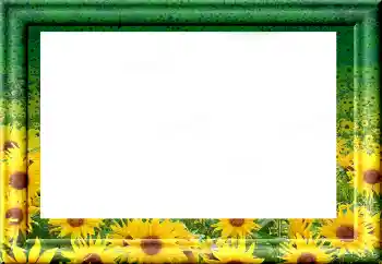 Efekt zdjęciowy z kategorii Różne № 1816