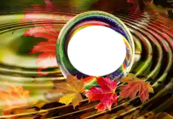 Efekt zdjęciowy z kategorii Różne № 181963