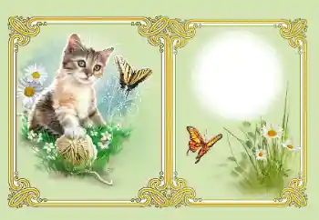 Efekt zdjęciowy z kategorii Różne № 182126 Efekt zdjęciowy z kategorii Różne № 182126