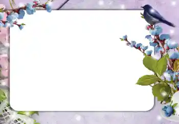 Efekt zdjęciowy z kategorii Różne № 182214