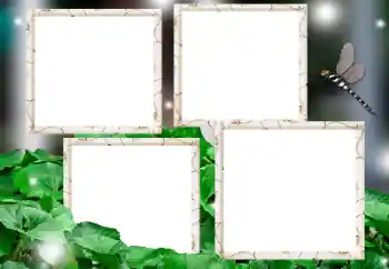 Efekt zdjęciowy z kategorii Różne № 182236