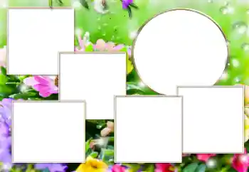 Efekt zdjęciowy z kategorii Różne № 182304 Efekt zdjęciowy z kategorii Różne № 182304