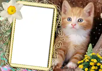 Efekt zdjęciowy z kategorii Różne № 183482 Efekt zdjęciowy z kategorii Różne № 183482