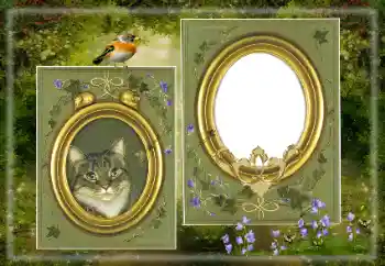 Efekt zdjęciowy z kategorii Różne № 183530 Efekt zdjęciowy z kategorii Różne № 183530