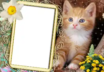 Efekt zdjęciowy z kategorii Różne № 1842