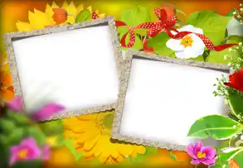 Efekt zdjęciowy z kategorii Różne № 184580 Efekt zdjęciowy z kategorii Różne № 184580